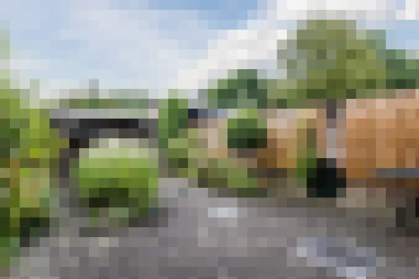 Houtsnipwal 18 Cuijk thumbnail 27