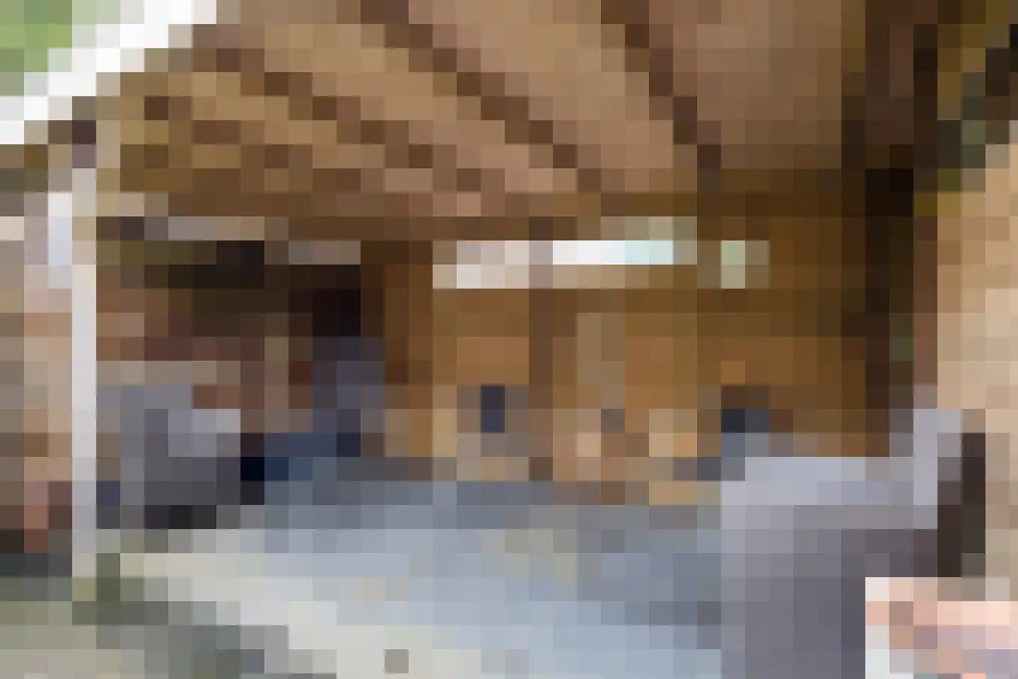 Houtsnipwal 18 Cuijk thumbnail 30