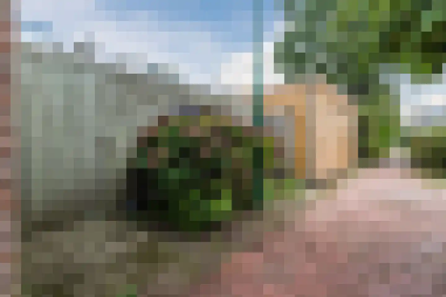 Houtsnipwal 18 Cuijk thumbnail 31