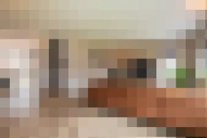 Houtstek 16 Oude Pekela thumbnail 10