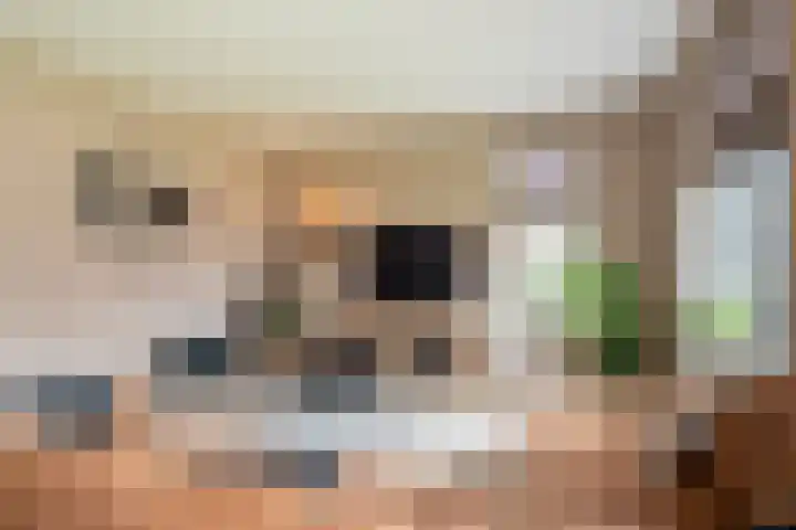 Houtstek 16 Oude Pekela thumbnail 12