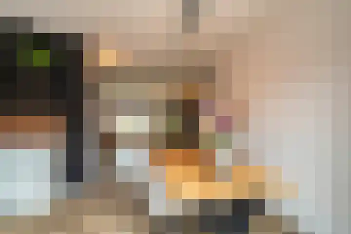 Houtstek 16 Oude Pekela thumbnail 17