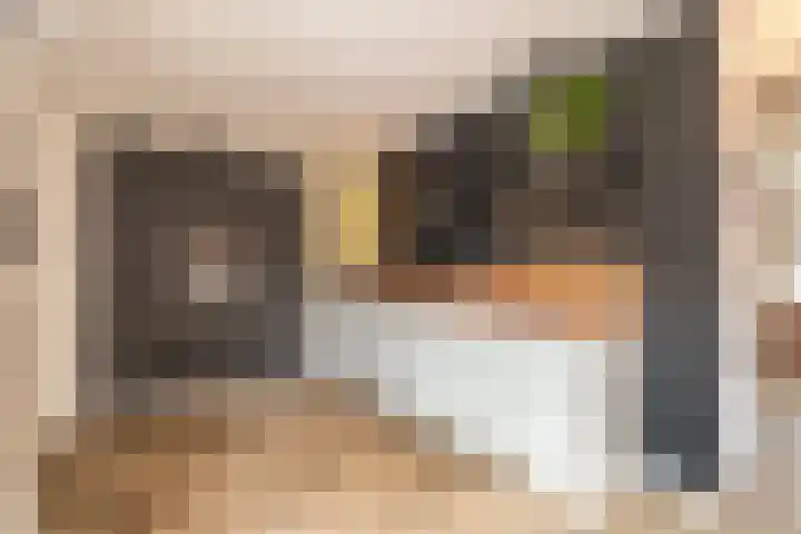 Houtstek 16 Oude Pekela thumbnail 18