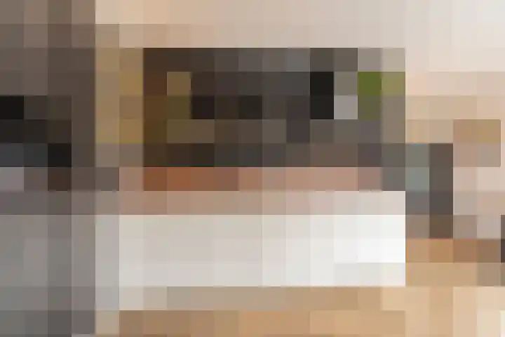 Houtstek 16 Oude Pekela thumbnail 19