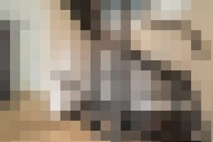 Houtstek 16 Oude Pekela thumbnail 38