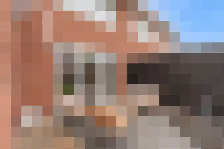 Houtstek 16 Oude Pekela thumbnail 42