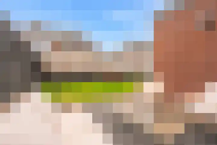 Houtstek 16 Oude Pekela thumbnail 43