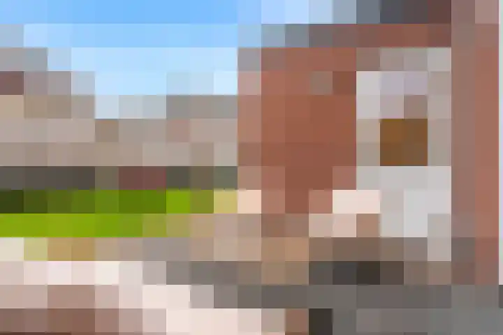 Houtstek 16 Oude Pekela thumbnail 44