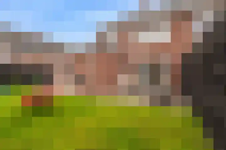 Houtstek 16 Oude Pekela thumbnail 46