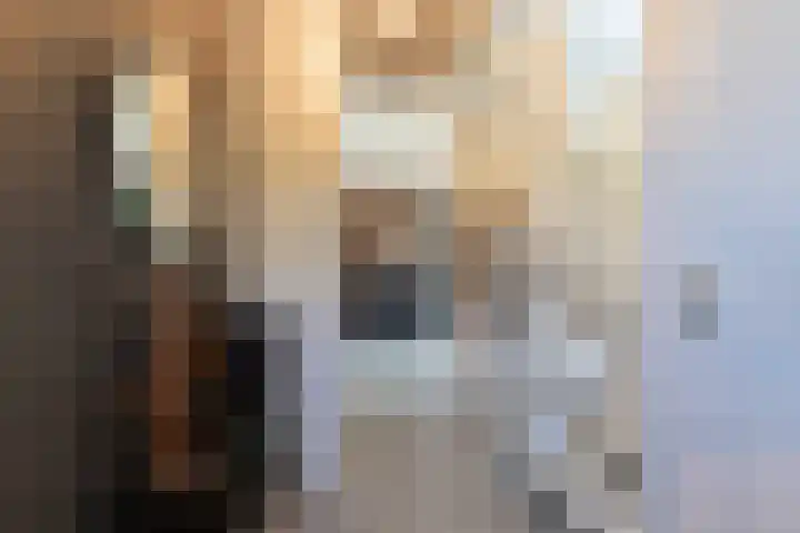 Houtstek 24 Oude Pekela thumbnail 12