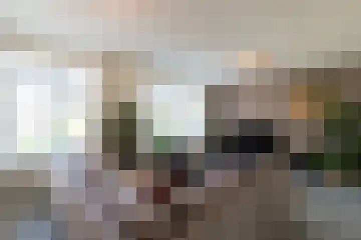 Houtstek 24 Oude Pekela thumbnail 18