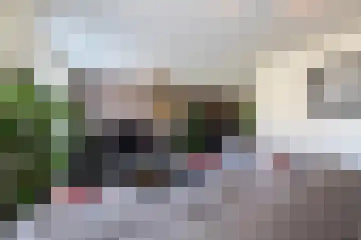 Houtstek 24 Oude Pekela thumbnail 19