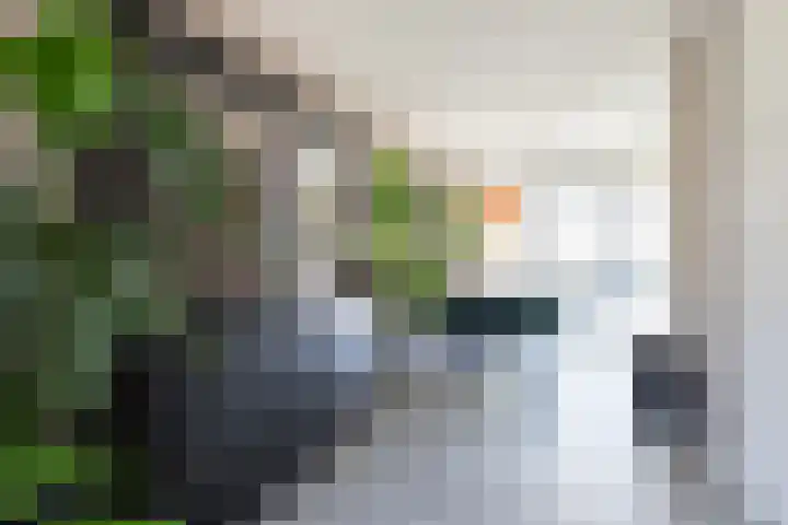 Houtstek 24 Oude Pekela thumbnail 21