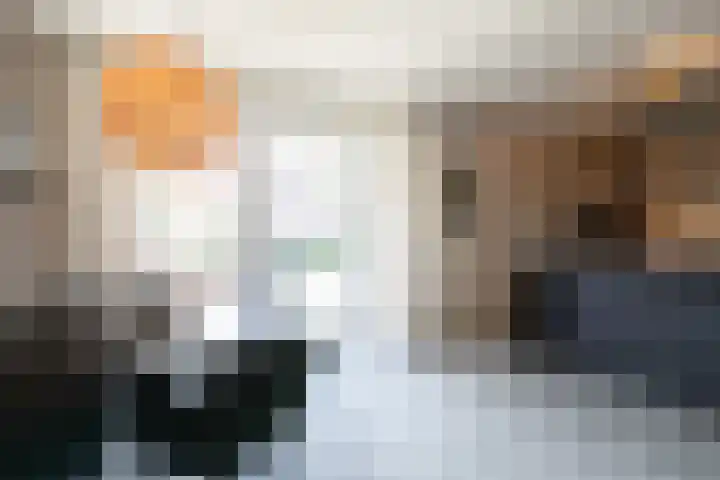 Houtstek 24 Oude Pekela thumbnail 22