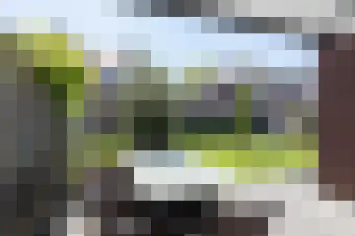 Houtstek 24 Oude Pekela thumbnail 40