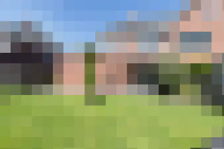 Houtstek 24 Oude Pekela thumbnail 41