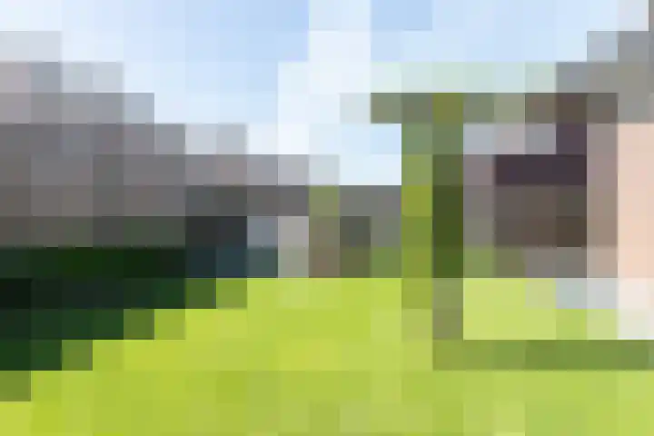 Houtstek 24 Oude Pekela thumbnail 42