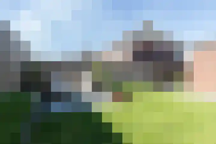 Houtstek 24 Oude Pekela thumbnail 43