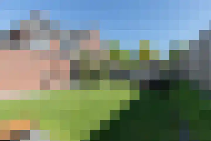 Houtstek 24 Oude Pekela thumbnail 44