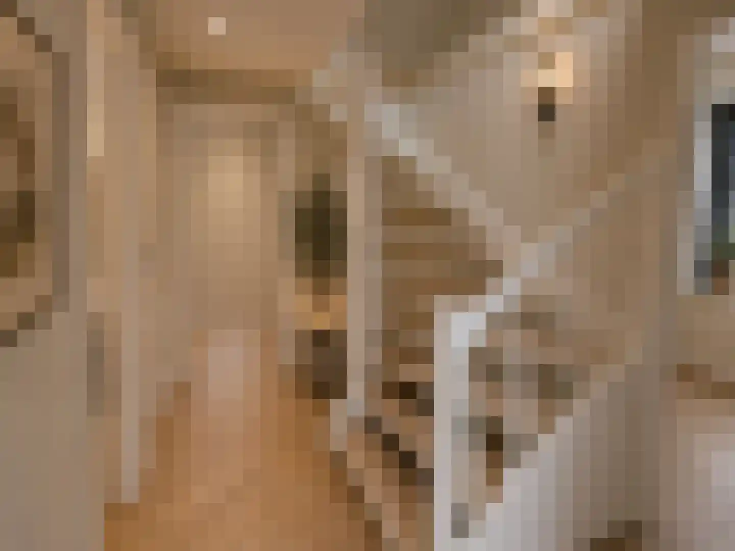 Houtstek 37 Oude Pekela thumbnail 4