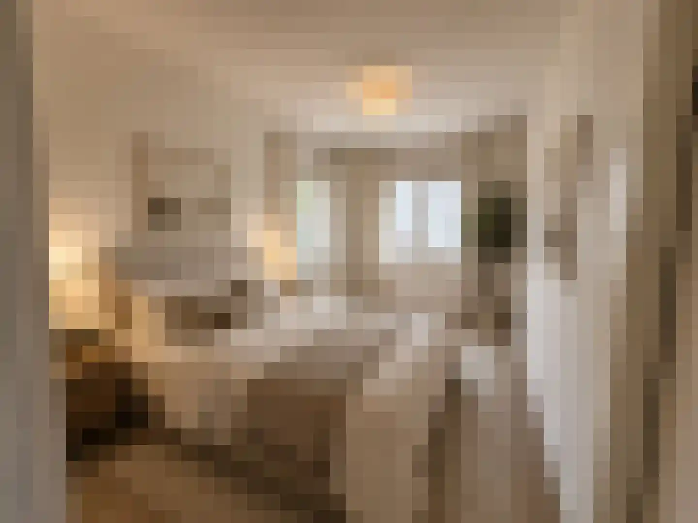 Houtstek 37 Oude Pekela thumbnail 5