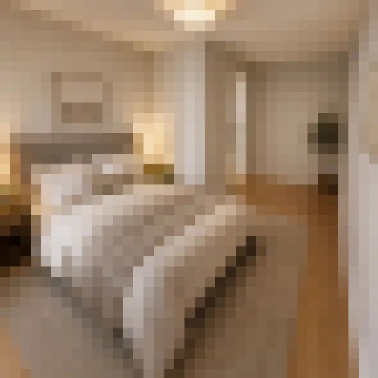 Houtstek 37 Oude Pekela thumbnail 7