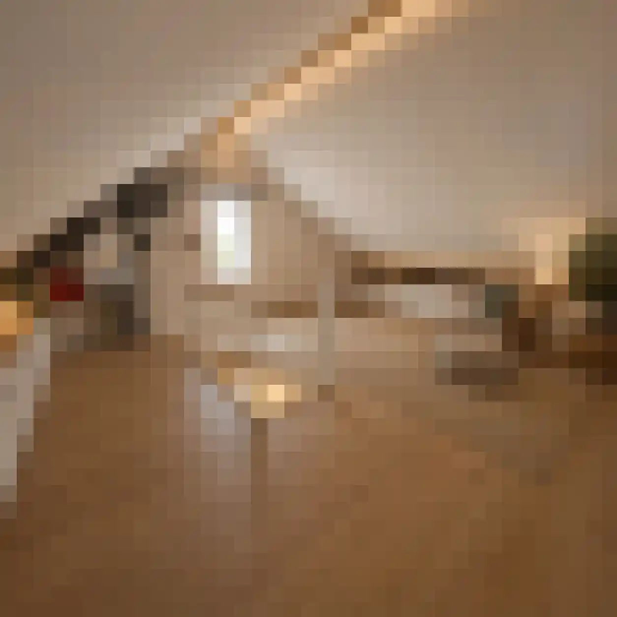 Houtstek 37 Oude Pekela thumbnail 9