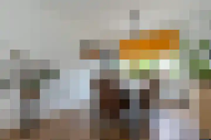 Houtstraat 1 Grevenbicht thumbnail 13