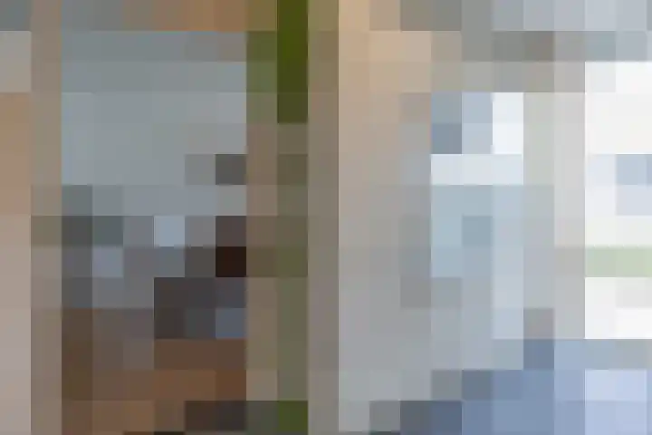 Houtstraat 1 Grevenbicht thumbnail 15