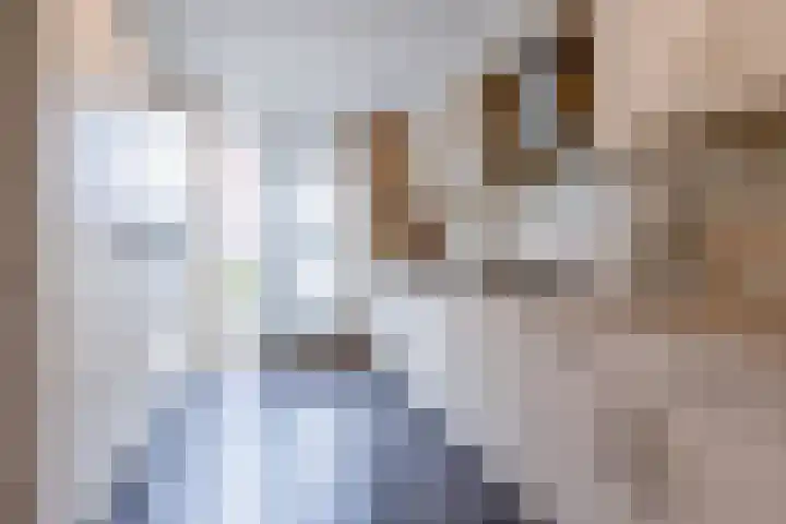 Houtstraat 1 Grevenbicht thumbnail 16