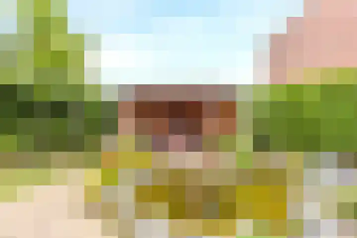 Houtstraat 1 Grevenbicht thumbnail 20