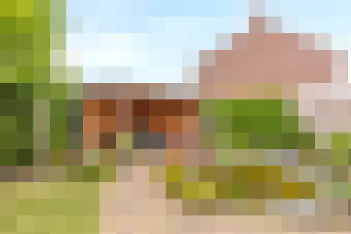 Houtstraat 1 Grevenbicht thumbnail 21