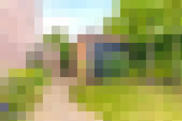 Houtstraat 1 Grevenbicht thumbnail 26