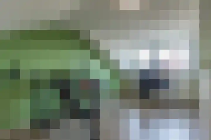 Houtstraat 1 Grevenbicht thumbnail 34