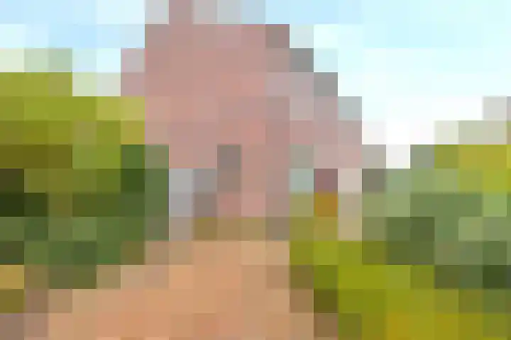Houtstraat 1 Grevenbicht thumbnail 5