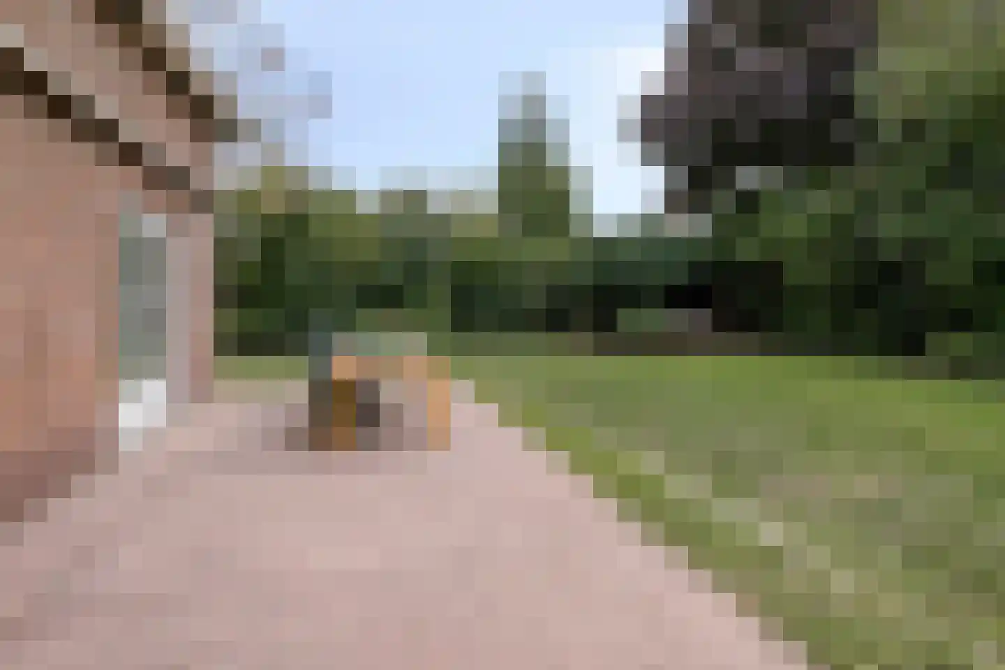 Houtstraat 1 Megen thumbnail 31