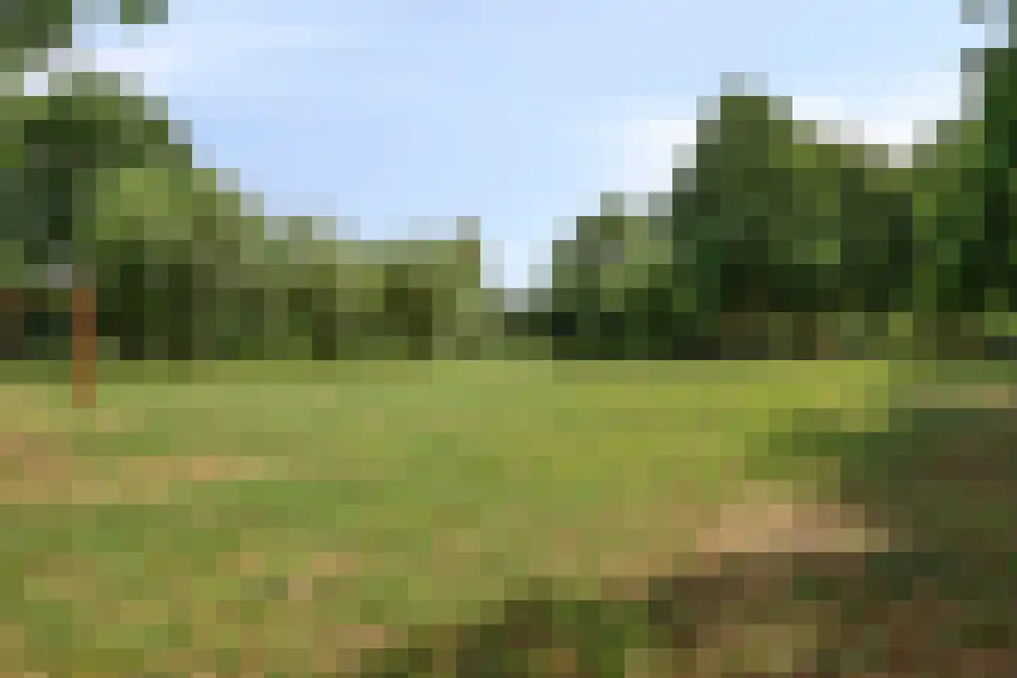 Houtstraat 1 Megen thumbnail 36