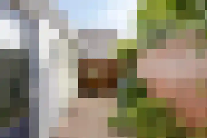 Houtstraat 108 Tilburg thumbnail 25
