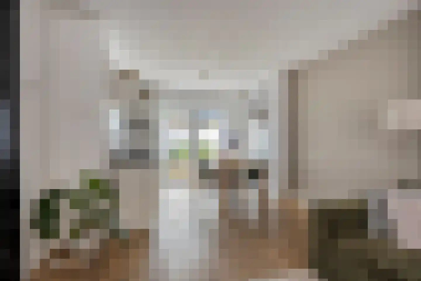 Houtstraat 11 Oss thumbnail 14