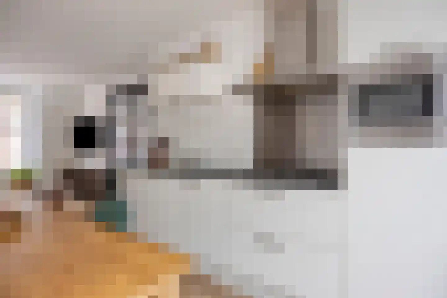 Houtstraat 11 Oss thumbnail 18