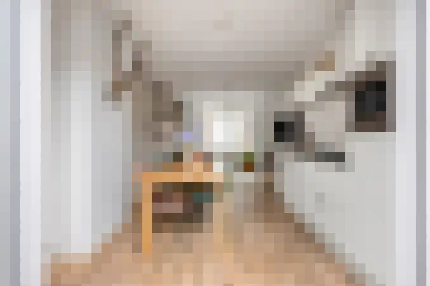 Houtstraat 11 Oss thumbnail 20