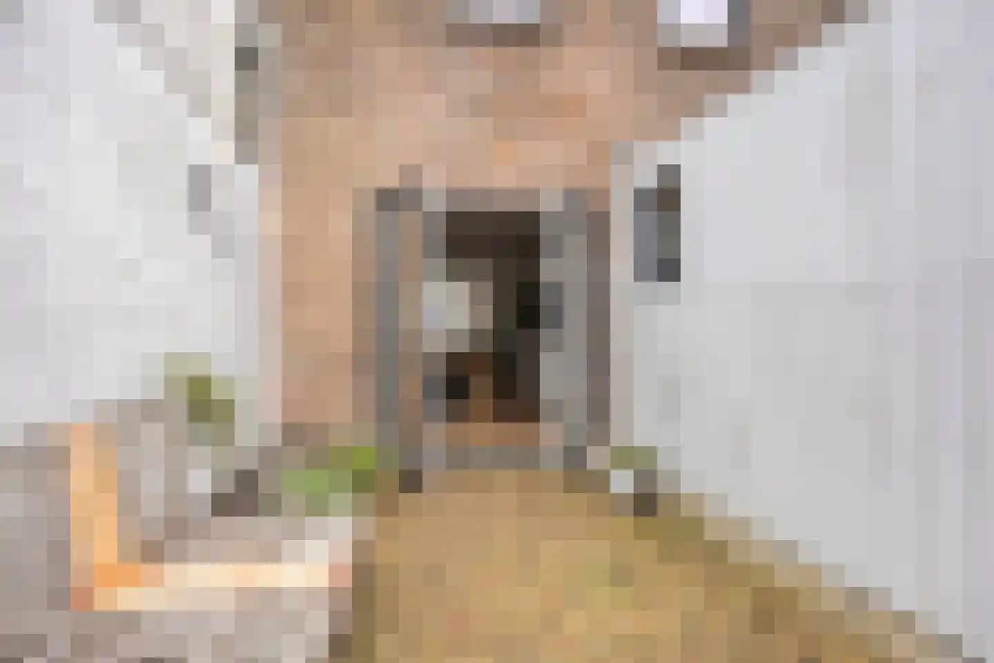 Houtstraat 11 Oss thumbnail 37