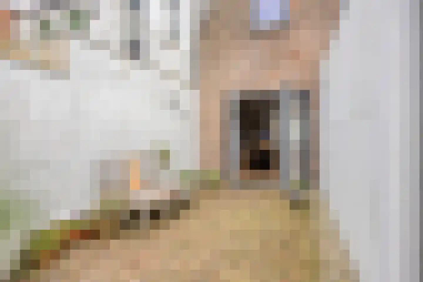 Houtstraat 11 Oss thumbnail 39