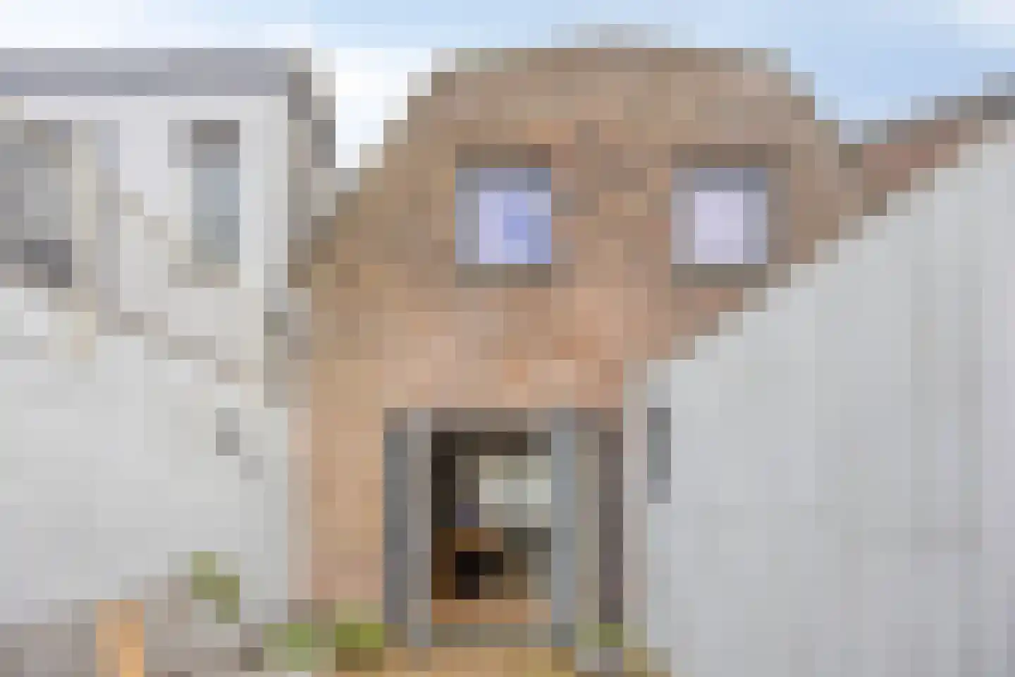 Houtstraat 11 Oss thumbnail 41
