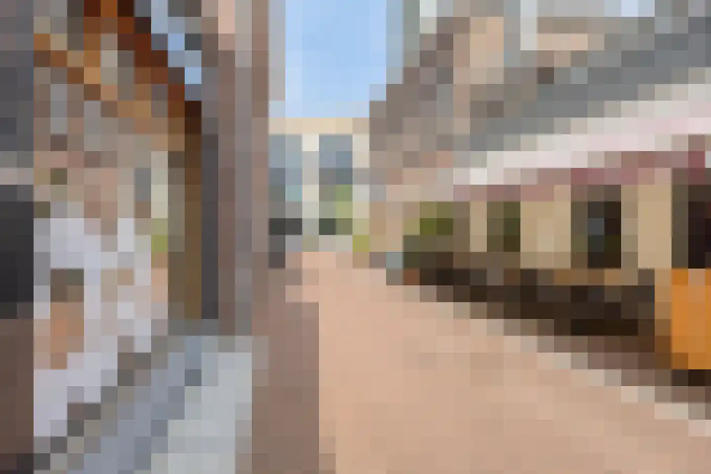 Houtstraat 11 Oss thumbnail 46