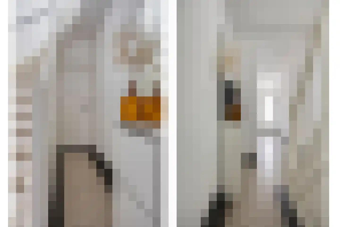 Houtstraat 11 Oss thumbnail 6