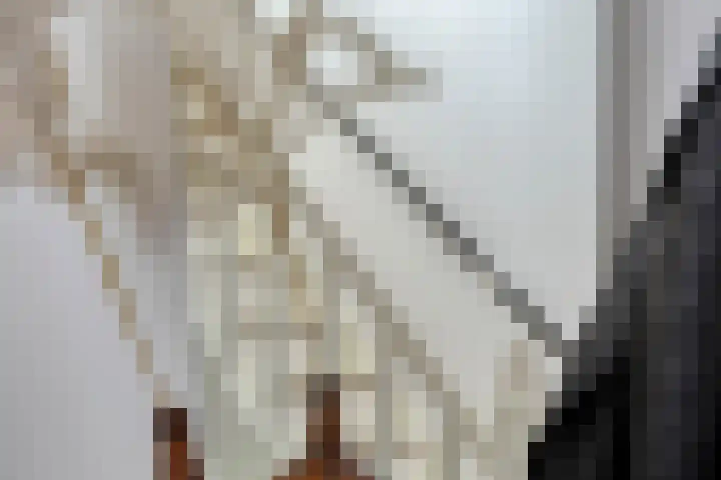 Houtstraat 11 Oss thumbnail 7