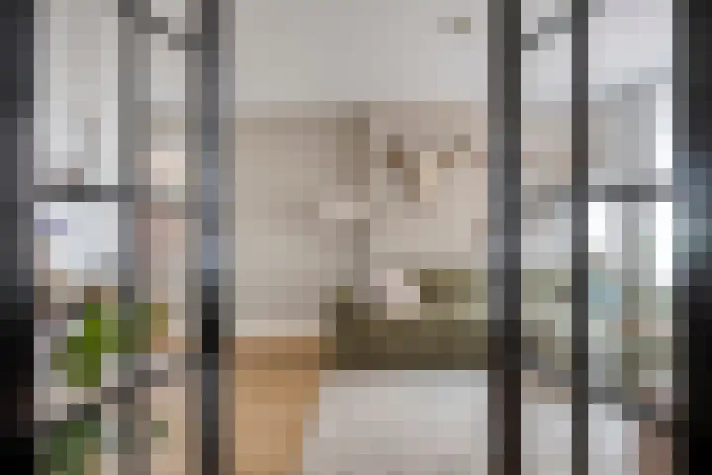 Houtstraat 11 Oss thumbnail 8
