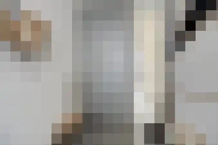 Houtstraat 11 Waddinxveen thumbnail 10