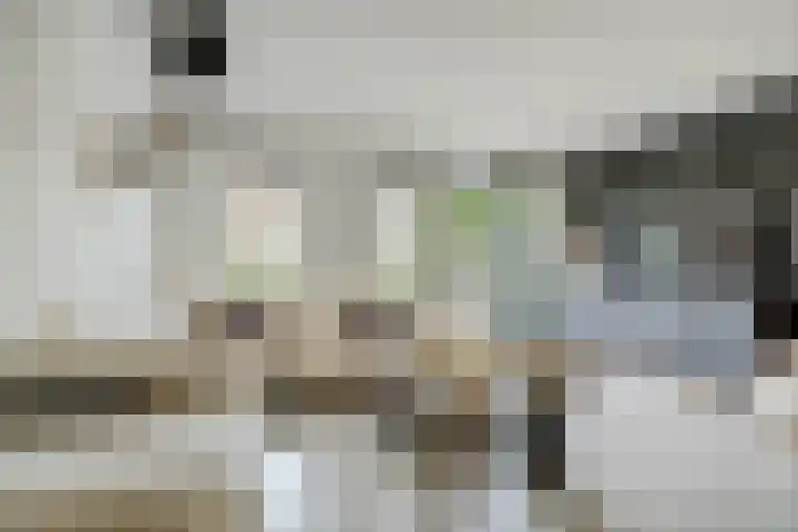 Houtstraat 11 Waddinxveen thumbnail 13